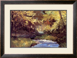 Buy Winding Stream at AllPosters.com