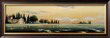 Buy After the Rain I at AllPosters.com