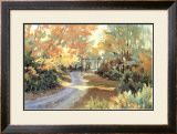 Buy Winding Road at AllPosters.com