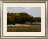 Buy Chamberino Orchards Midday at AllPosters.com