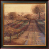 Buy Vineyard Vista at AllPosters.com