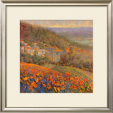 Provencal Village IX
