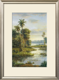 Island Serenity I