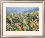 Buy Wind-Blown Poppies at AllPosters.com