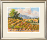 Buy Wine Province I at AllPosters.com