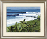 Buy Coconuts at AllPosters.com