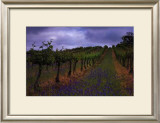 Buy Wendouree Cellar Vineyards at AllPosters.com