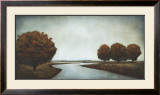 Buy Silver Reflections at AllPosters.com