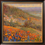 Provencal Village IX