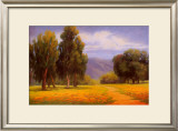 Path Through the Poppies
