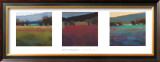 Buy Light Study II at AllPosters.com