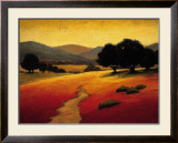 Santa Ynez I