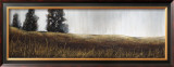 Buy Summer Lights at AllPosters.com