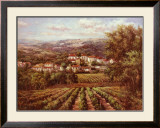 Vino Bianco