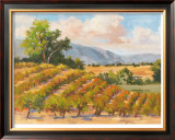 Buy Wine Province I at AllPosters.com