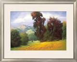 Poppies en Plein Air