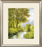 Dreamy Creek II