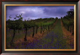 Buy Wendouree Cellar Vineyards at AllPosters.com