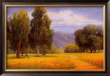 Path Through the Poppies