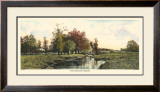 The Meadow Brook