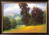 Poppies en Plein Air
