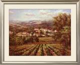 Vino Bianco