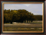 Buy Chamberino Orchards Midday at AllPosters.com