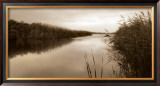 Buy River Reeds at AllPosters.com