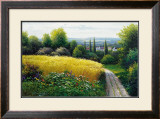 Buy Corn Field at AllPosters.com