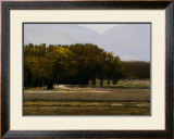 Buy Chamberino Orchards Midday at AllPosters.com