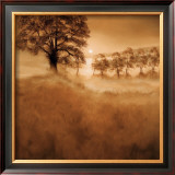 Buy Misty Mountain at AllPosters.com