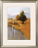 Buy Sage Sensation at AllPosters.com