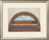 Lavander Fields