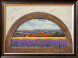 Lavander Fields