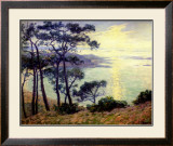 Buy Pins au Bord de la Mer at AllPosters.com