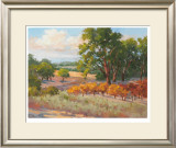 Buy Wine Province II at AllPosters.com