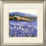 Buy Champs D'Iris, Provence at AllPosters.com