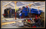 Buy Giants Refreshed at AllPosters.com