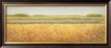 Buy View at AllPosters.com