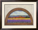 Lavander Fields