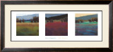 Buy Light Study II at AllPosters.com