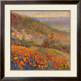 Provencal Village IX