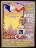 Fetes Aviation Militaire
