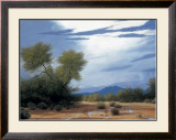 Buy Palo Verde Wash at AllPosters.com