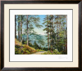 Buy Path to the Valley at AllPosters.com