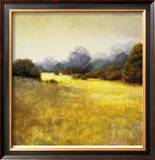 Buy Autumn Grasses at AllPosters.com