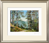 Buy Path to the Valley at AllPosters.com
