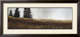Buy Summer Lights at AllPosters.com