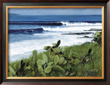 Buy Coconuts at AllPosters.com