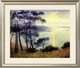 Buy Pins au Bord de la Mer at AllPosters.com
